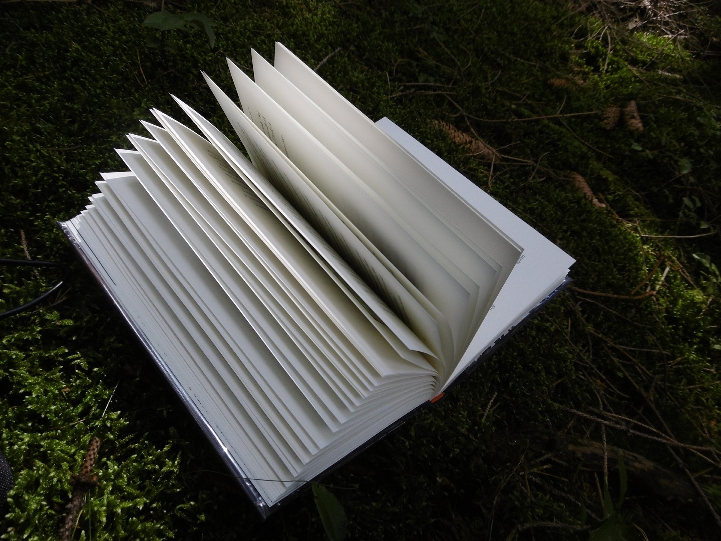 Buch auf Waldboden, aufgeschlagene Seiten © pixabay/6146376