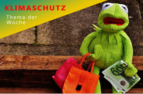 Kermit der Frosch kauft ein. Klimaschutz - Thema der Woche © Alexas_Fotos auf Pixabay/ Teaser-Ecke: Jugendinfozentrum Hamburg