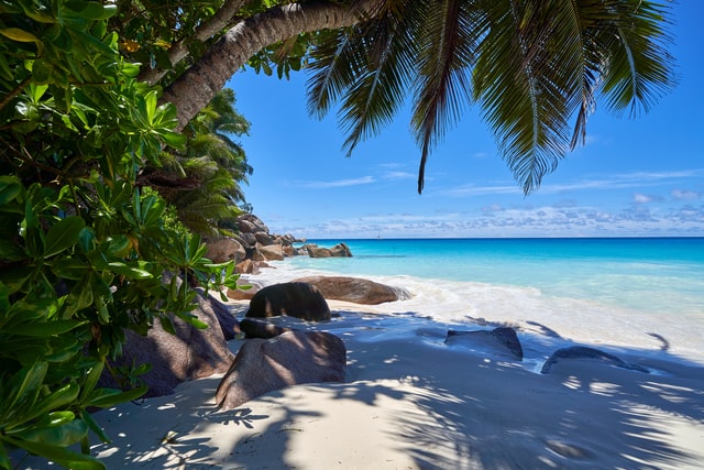 tropischer Strand auf den Seychellen © AJ on Unsplash.com