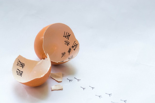 zerbrochene Eierschalen mit Strichen © Martin Schotte auf Pixabay